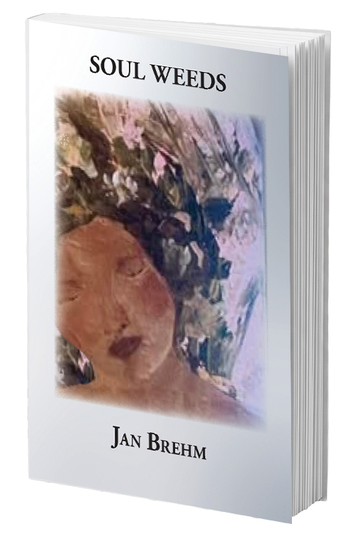 SOUL WEEDS by JAN BREHM-4